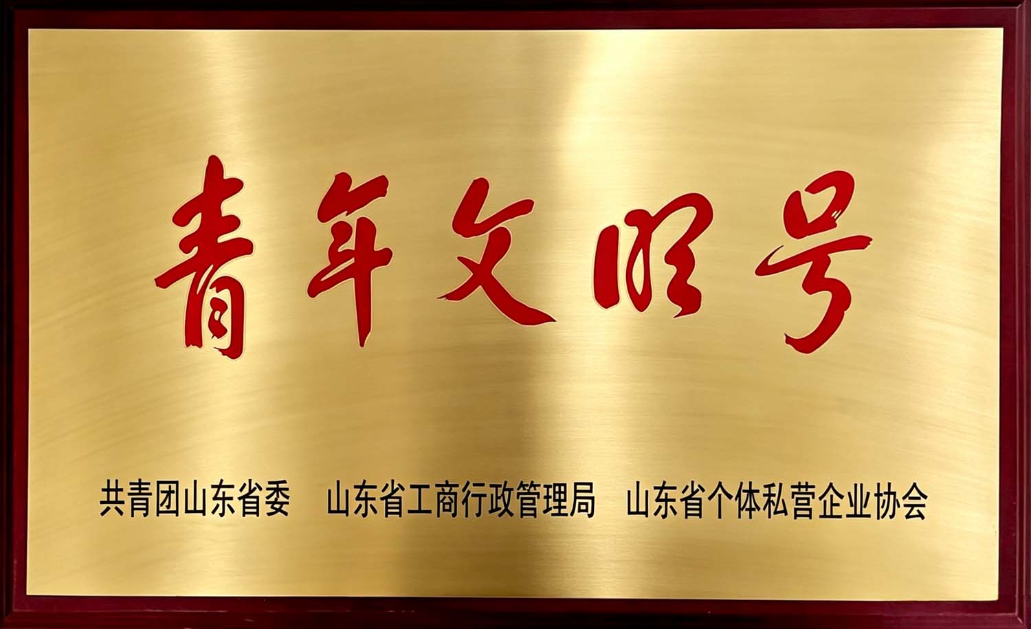 山东省青年文明号 